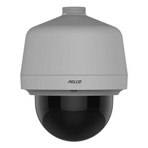 Pelco P1220-ESR1 Pendant Environmental ?Camera